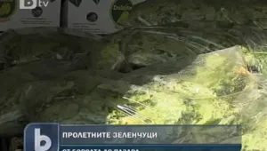 Борсите край Пловдив са отрупани със зеленчуци