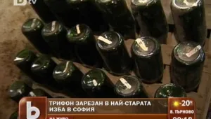 Шампанското се познава по пяната