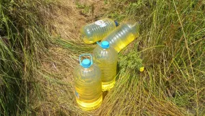 Домакинът на РУП - Оряхово задържан за кражба на гориво