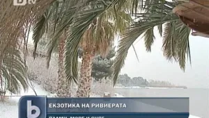 Не мръзнем само ние - студът взе още жертви по света