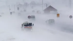 Студът взе още жертви в Европа