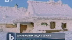 Студовете в Европа взеха стотици жертви 