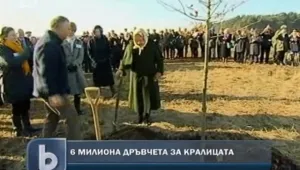 6 милиона дръвчета в чест на кралица Елизабет Втора 