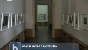 Ценни картини гният сред влага и мухъл