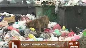 Видин – мръсен и беден