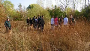 26 чужденци опитаха нелегално да минат границата