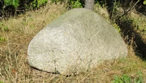 Швейцарски полицай осъден на 1 година затвор за кражба на камък
