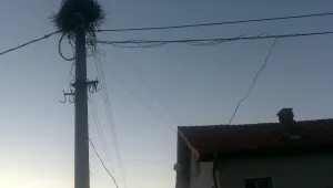 10 села в смолянско без ток заради скъсани кабели