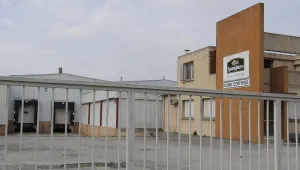 Завод за месо в Ирландия затвори заради конско