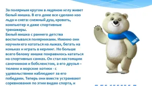 Олимпийска харта - какво ще се случва в Сочи?