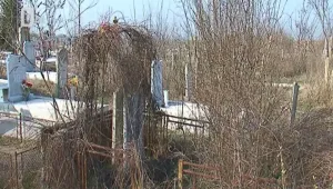 Кметицата на пловдивско село събира по 2 лв. за покойник