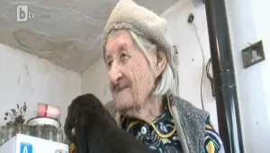 Приют търси приемни семейства на бездомни малки кучета