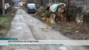 Видинско село се оплаква от кучета, нападащи хора