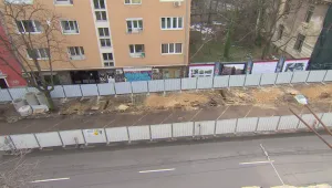 Кестените по Патриарха – пожертвани заради метрото, но ще бъдат възстановени