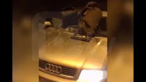 Осветителната тръба в „Ечемишка“ е паднала заради корозия (ВИДЕО)