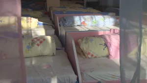 Кризисен психолог ще работи с децата от градина „Брезичка” в Бургас