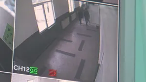 Пореден случай на агресия в училище – баща нападна седмокласник в Златарица