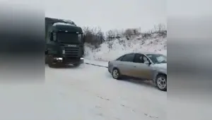 „Куатро” влекач, шейна с кучета и други начини да се придвижите в снега