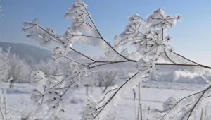 Валежи и силен вятър в Източна България, на запад спира да вали
