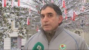 Българи от Тимишоара: Беше кошмарно, бяхме излъгани