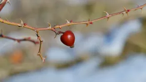 Още по-топло ще е днес – до 18°