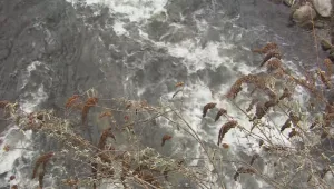 Премахнаха незаконните тръби, замърсявали водите на река Юговска 