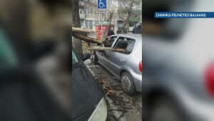Бурният вятър нанесе материални щети на автомобили в Асеновград