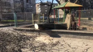 Вятър със скорост 90-120 км/ч. причини сериозни щети в Сливен