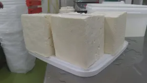 Българското кисело мляко и саламурено сирене - под защитата на Европа