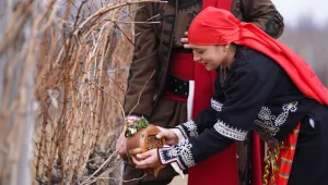Трифон Зарезан в село Типченица (СНИМКИ)