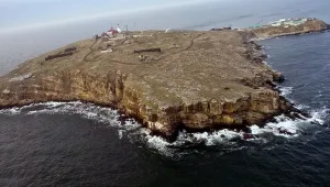 Украинските военни от Змийския остров са оцелели, в плен са