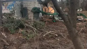 Общината иска обяснения от Трайчо Трайков и дружеството за незаконната сеч в Борисовата градина