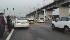 Родителите ѝ са ранени при катастрофа с Tesla. В крайна сметка тя плаща щети на компанията