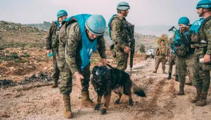 Какво са миротворческите сили, кой и при какви условия ги 