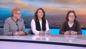 „Сглобка от професионалисти“ или парцелирана власт: Бивши министри от целия политически спектър се спрягат за кабинета „Гюров“