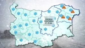 Сняг в първата работна седмица на 2011 година