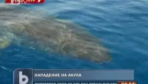 Голяма бяла акула нападна рибари 