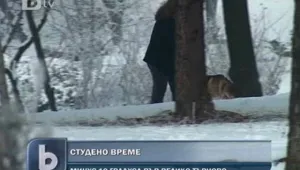 Новата година донесе още студ