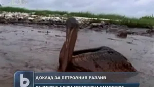 Борба за печалба предизвикала петролния разлив в Мексиканския залив 