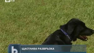 Изчезнал лабрадор се завърна при стопанина си