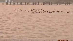 Излизат резултати от пробите на морската вода край Варна 
