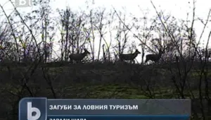 Заразата от шап удари и ловния туризъм