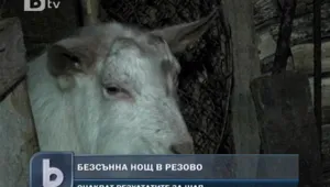 Резово чака резултатите от проверката за шап