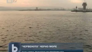 Чакат резултатите от червеното петно във Варненския залив