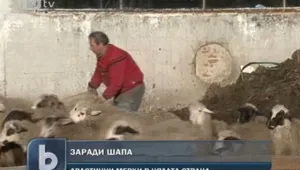 Масови проверки за незаконна търговията с животни 