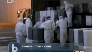Япония изтребва 410 000 пилета заради птичи грип 