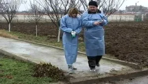 Частните ветеринари прогнозират напрежение през март