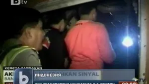 14 жертви след два транспортни инцидента в Индонезия