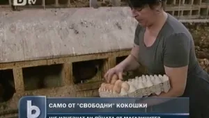  Яйцата на път да изчезнат от пазара