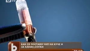 Проверяват за кучета без чипове в София